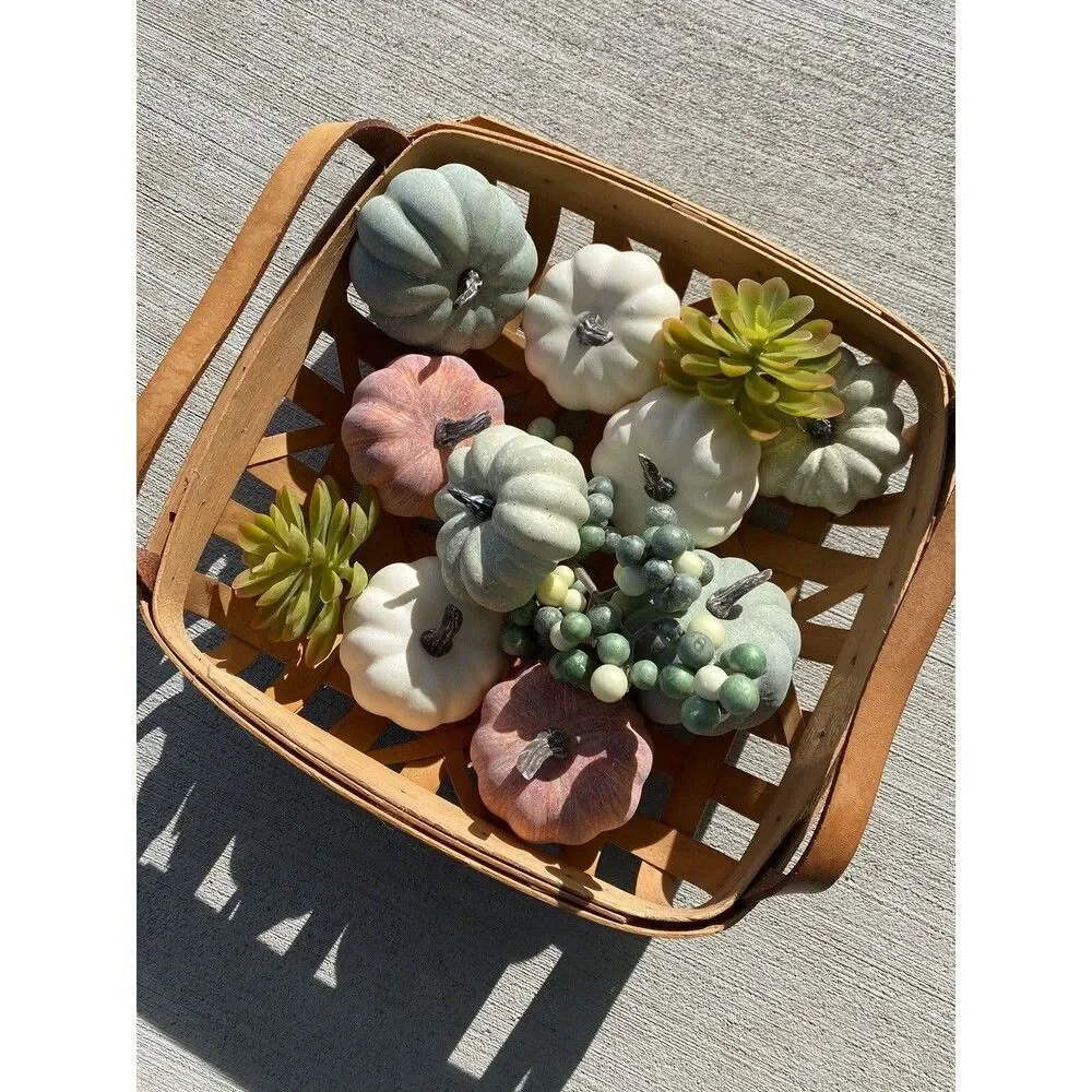 Fall Autumn Thanksgiving Gourds Succulents Pumpkin Bowl Fillers Berries Tabletop